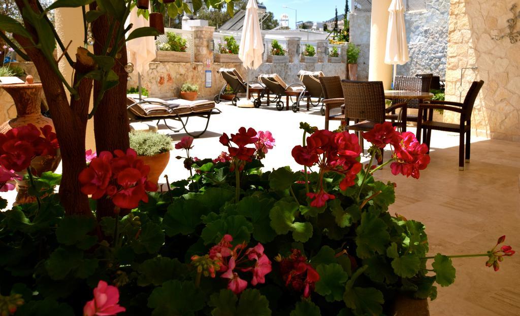 Apartment Truffle Residences Kalkan